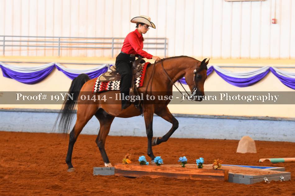 Proof 19YN_01414