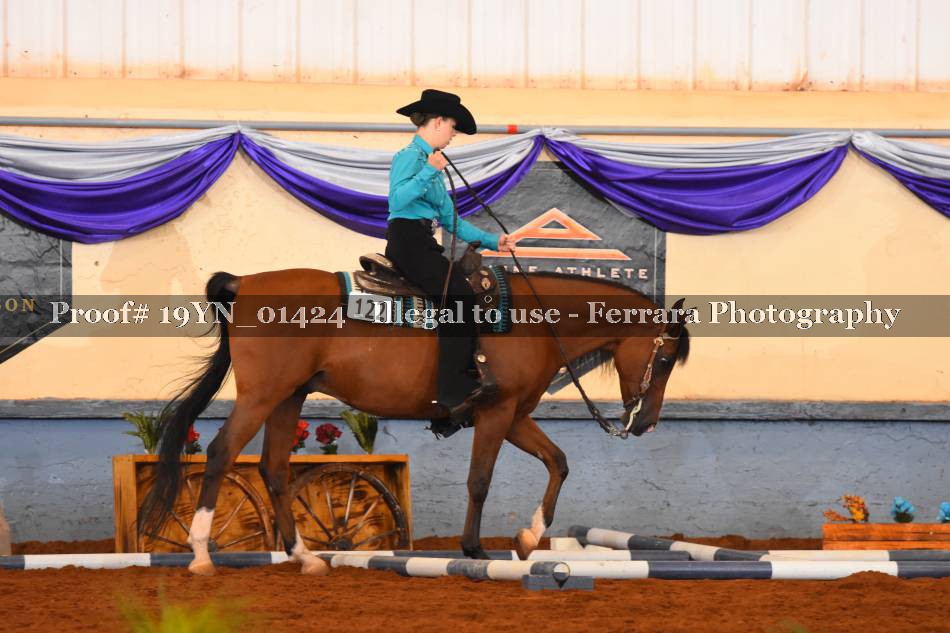 Proof 19YN_01424