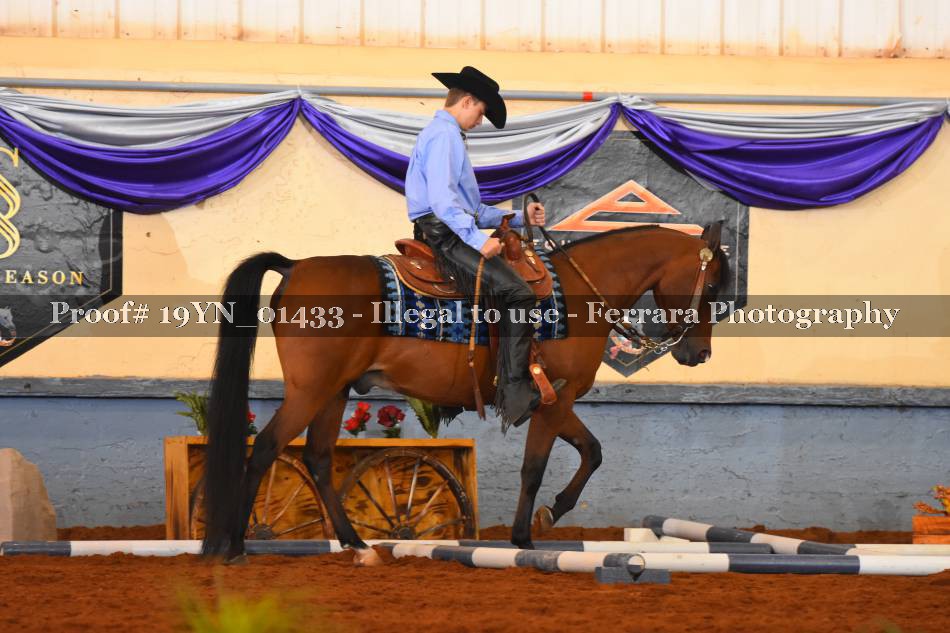 Proof 19YN_01433