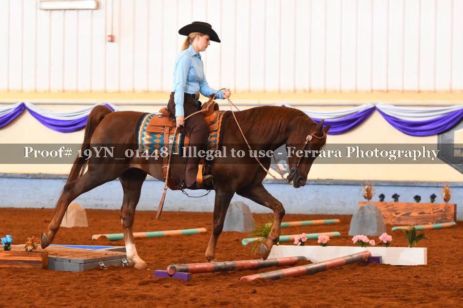 Proof 19YN_01448
