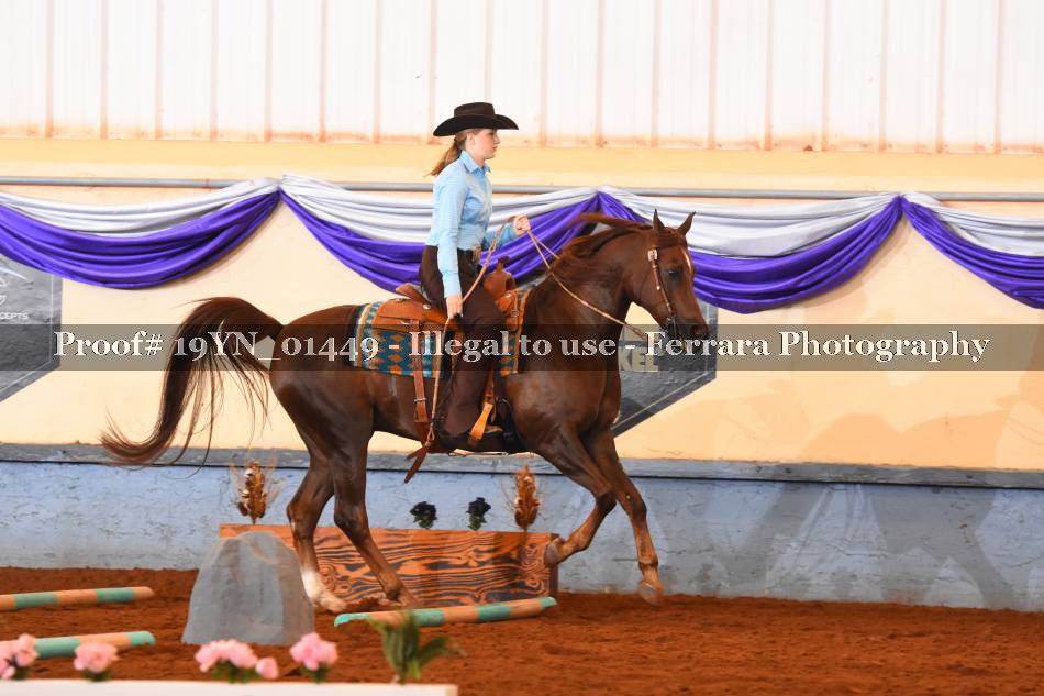 Proof 19YN_01449