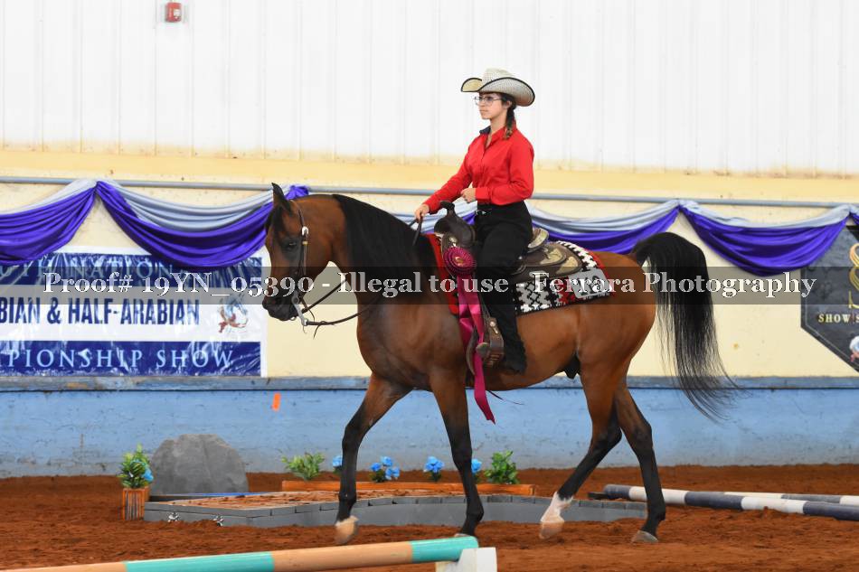Proof 19YN_05390