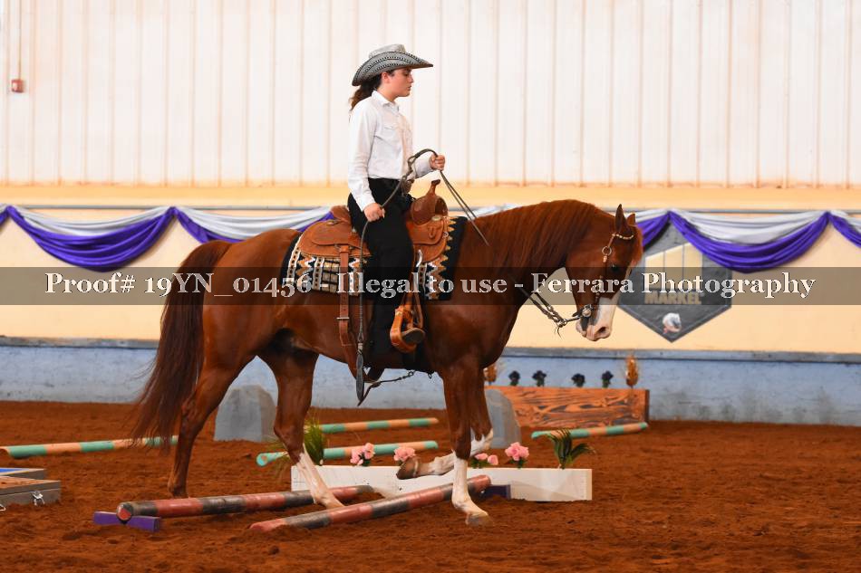 Proof 19YN_01456