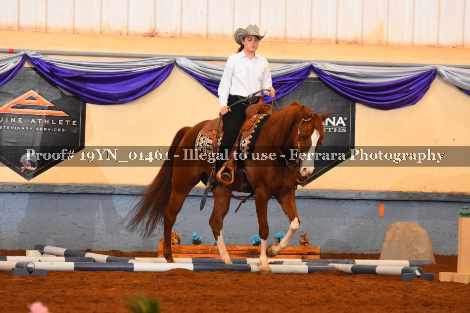 Proof 19YN_01461