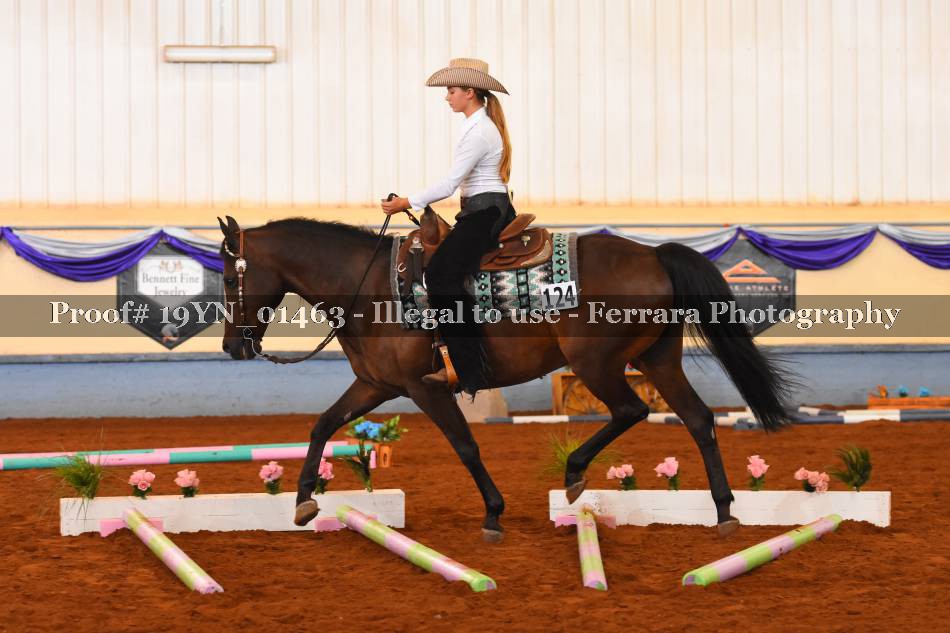 Proof 19YN_01463