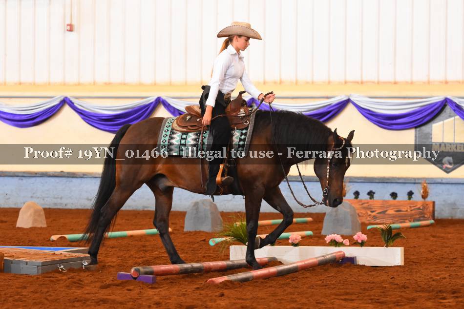 Proof 19YN_01466