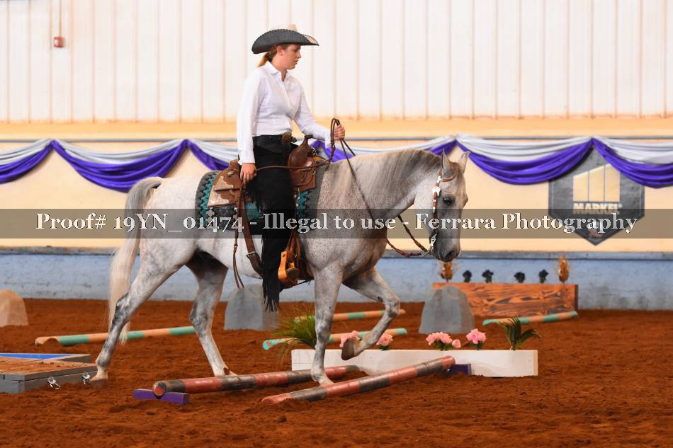 Proof 19YN_01474