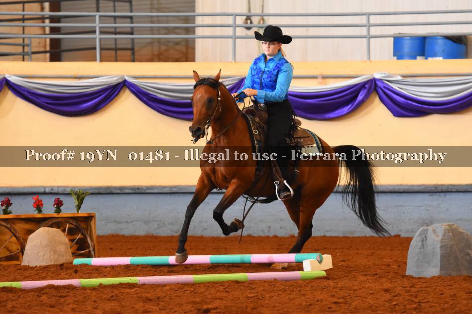 Proof 19YN_01481