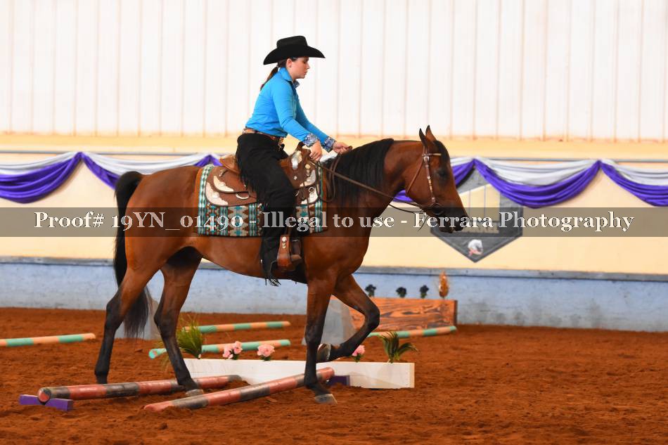 Proof 19YN_01490