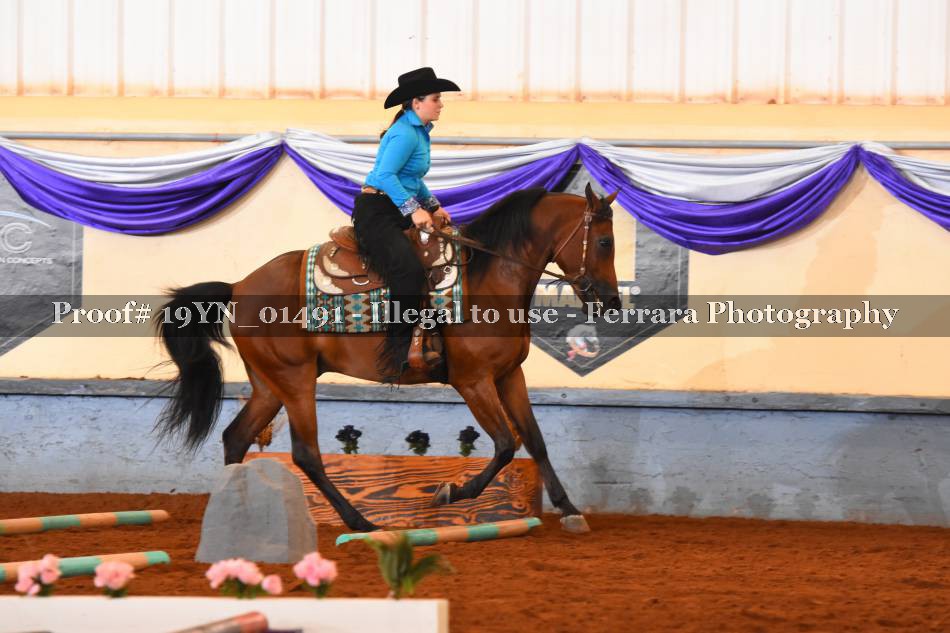 Proof 19YN_01491