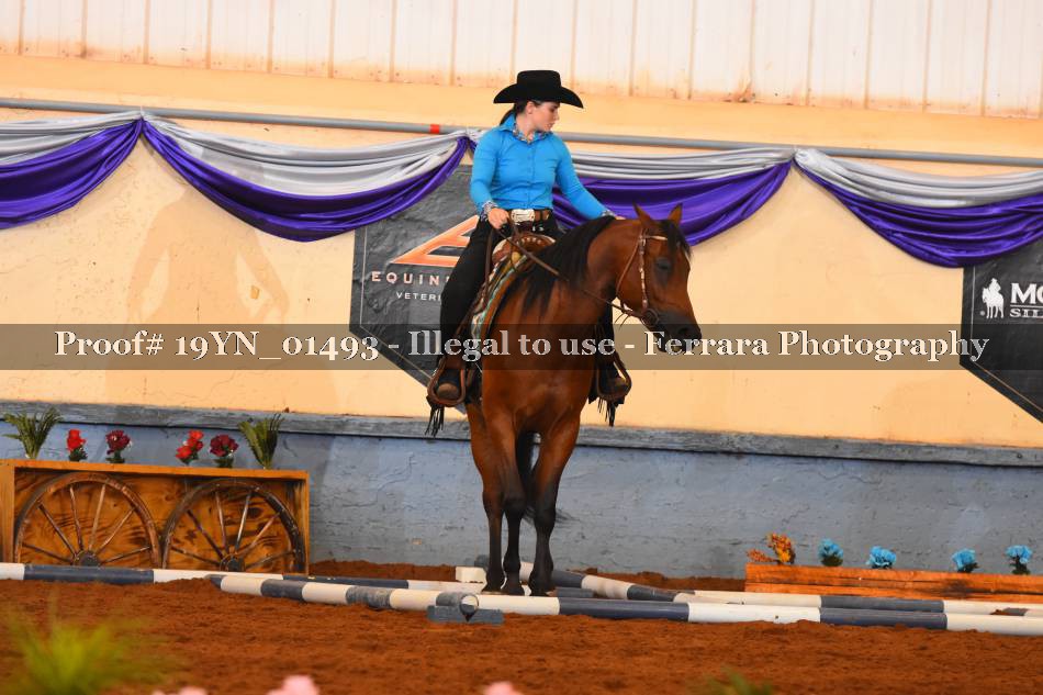 Proof 19YN_01493