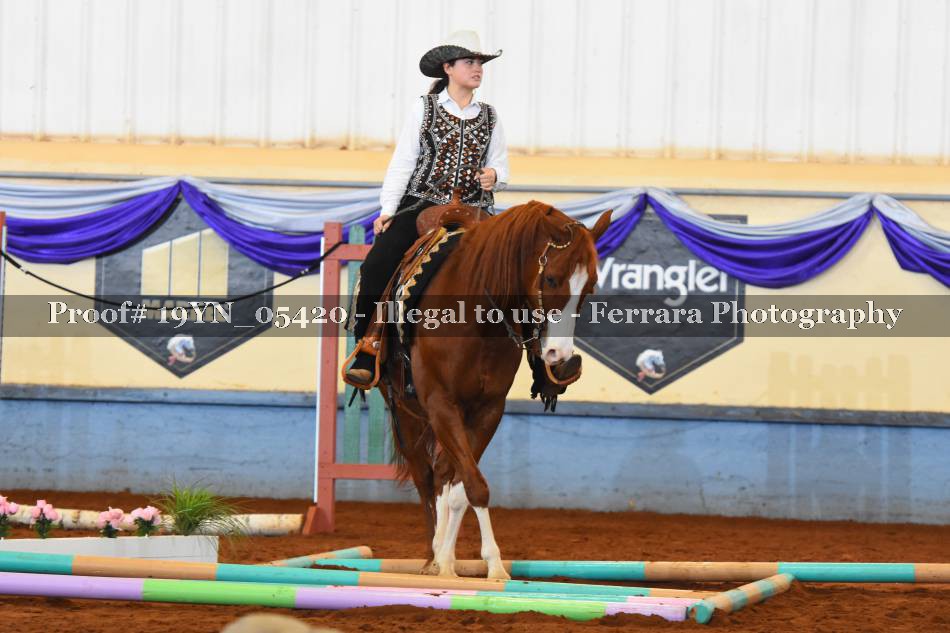Proof 19YN_05420