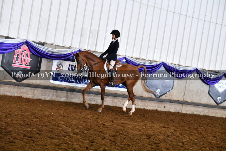 Proof 19YN_20093