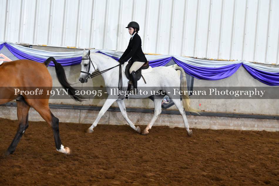 Proof 19YN_20095