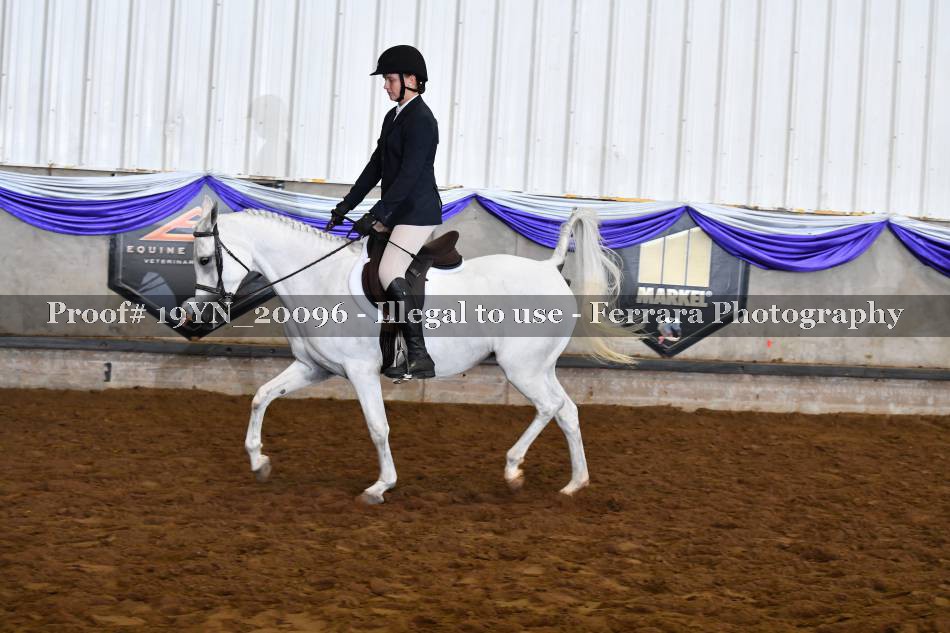 Proof 19YN_20096
