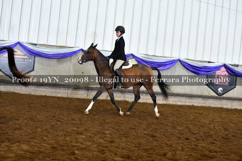 Proof 19YN_20098