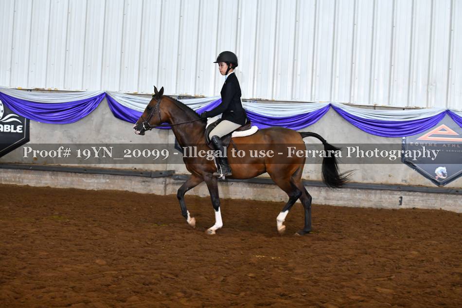 Proof 19YN_20099