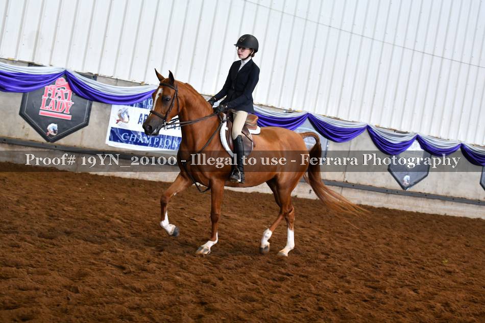 Proof 19YN_20100