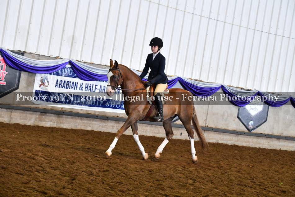 Proof 19YN_20101