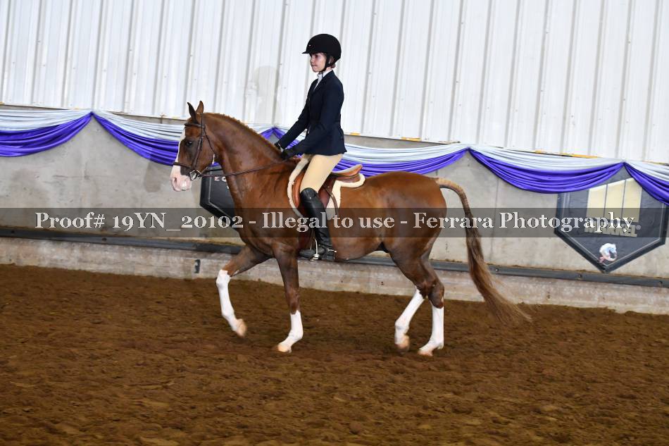 Proof 19YN_20102