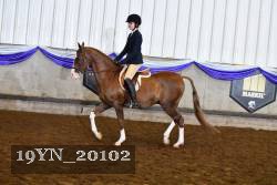 19YN_20102 proof