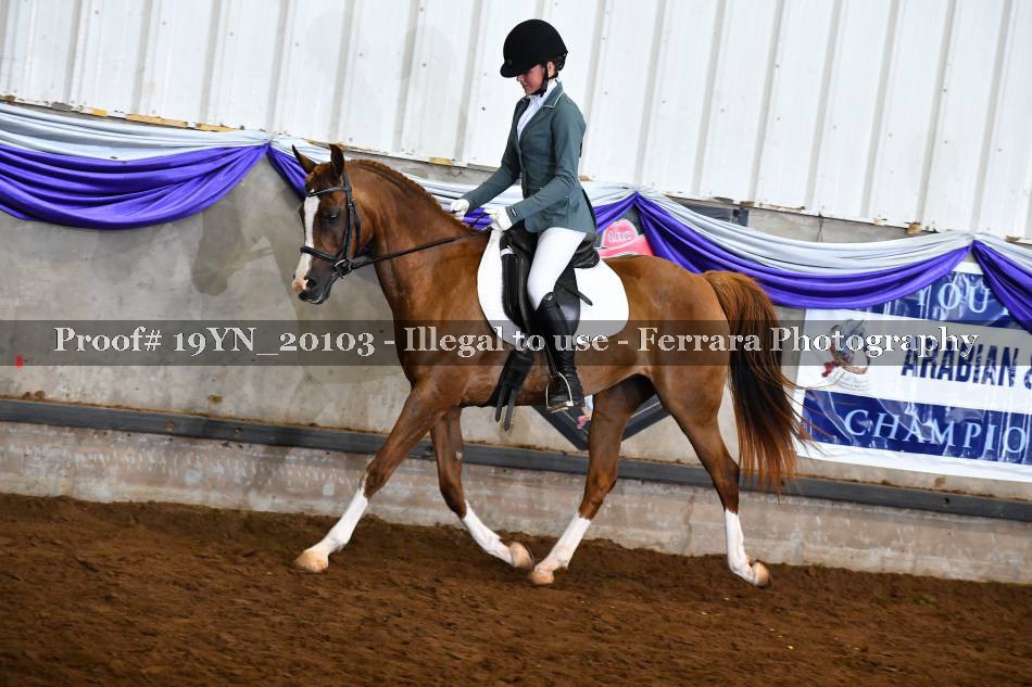 Proof 19YN_20103