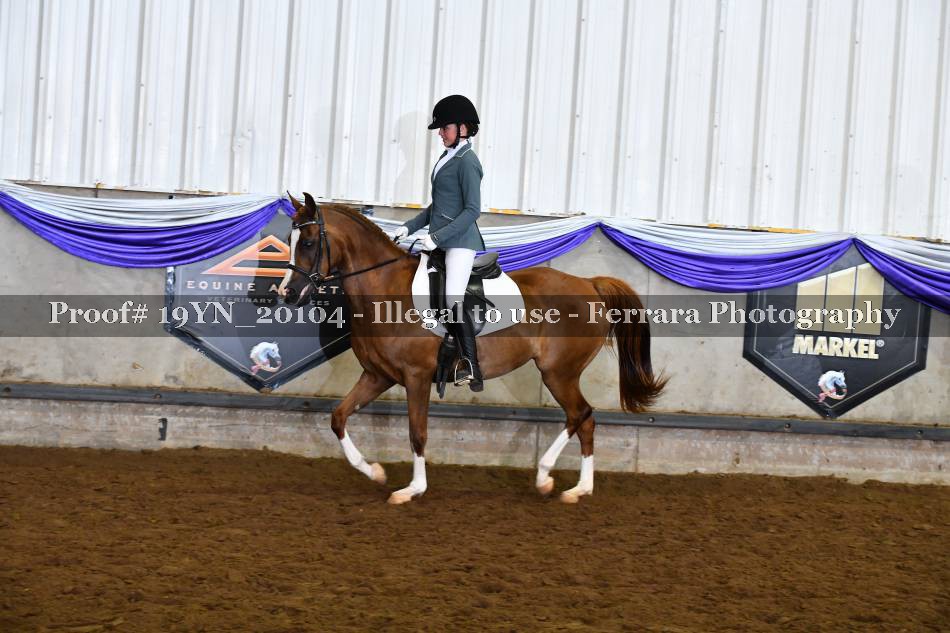 Proof 19YN_20104