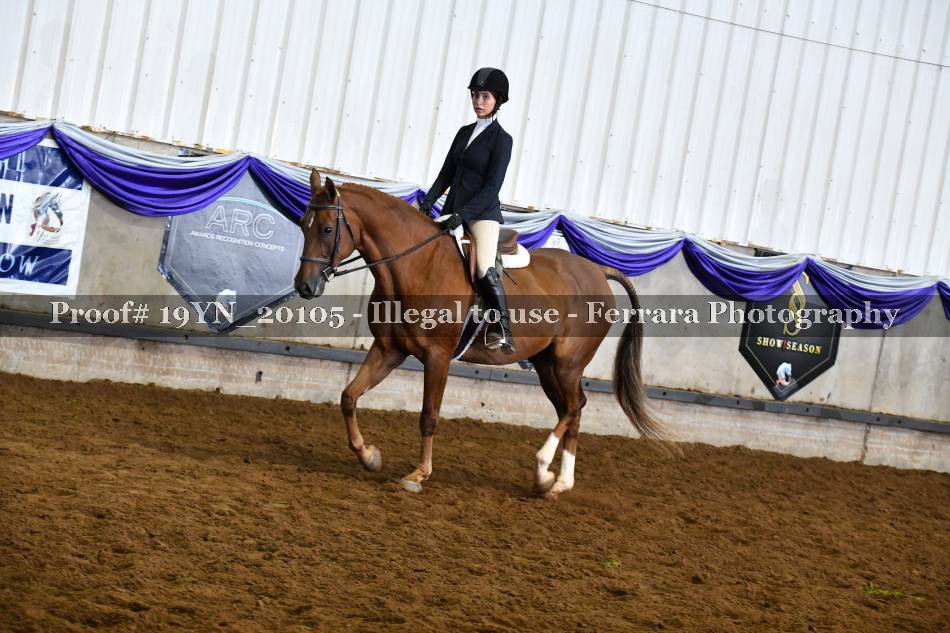 Proof 19YN_20105