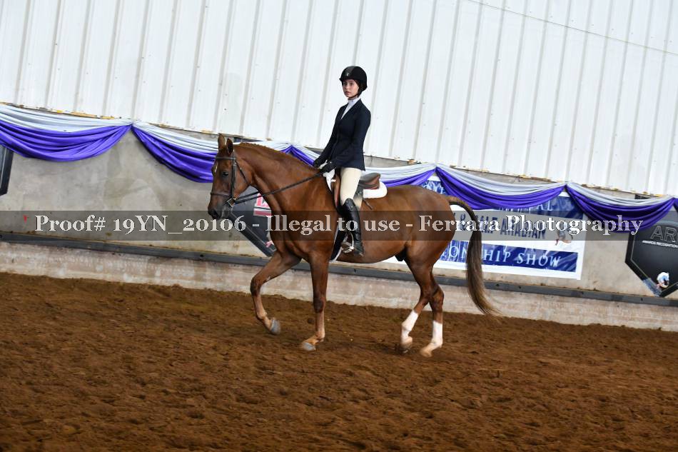 Proof 19YN_20106