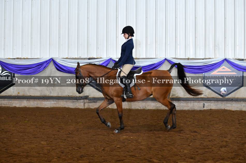 Proof 19YN_20108
