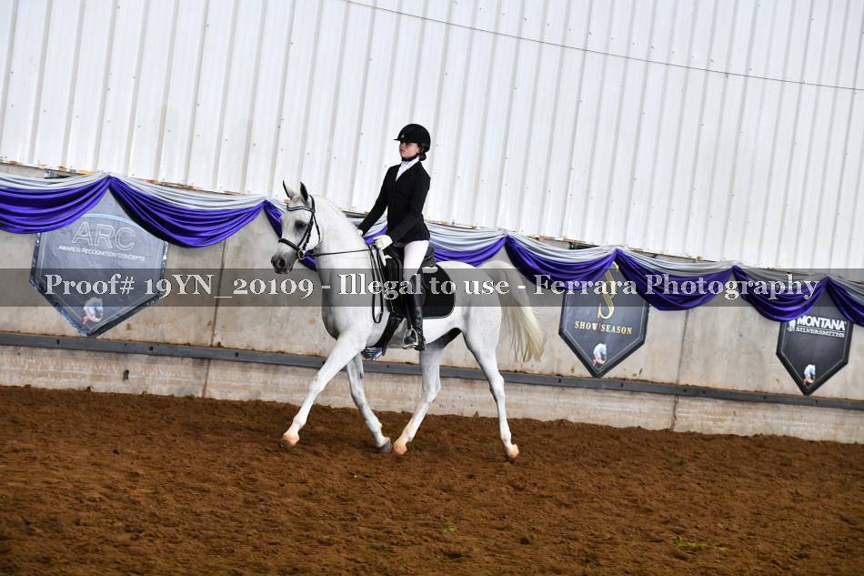 Proof 19YN_20109