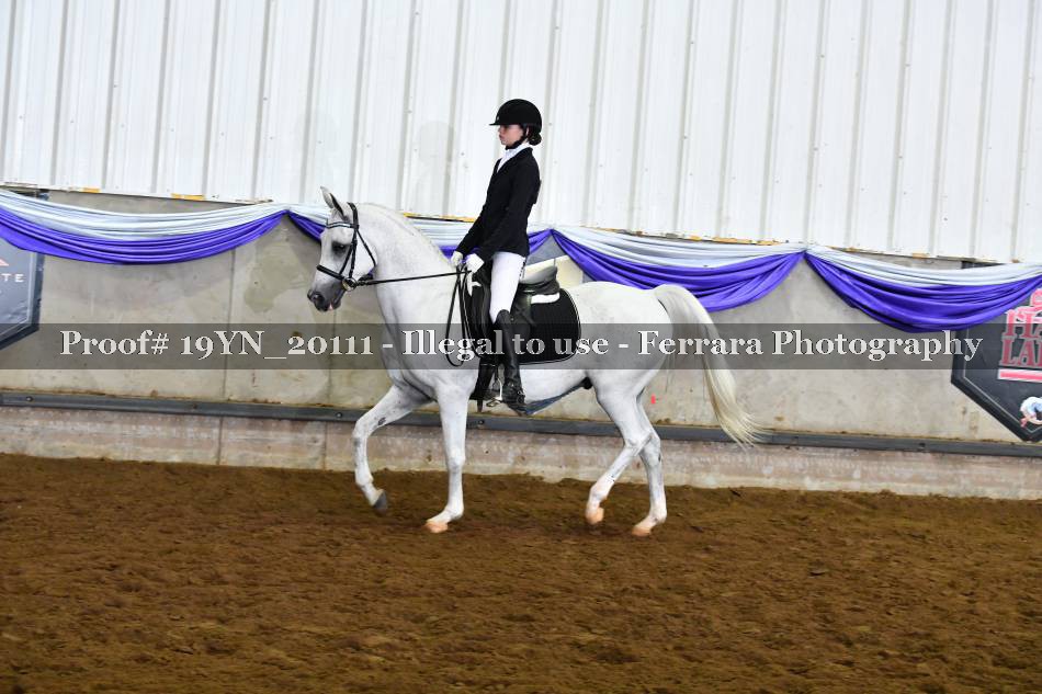 Proof 19YN_20111
