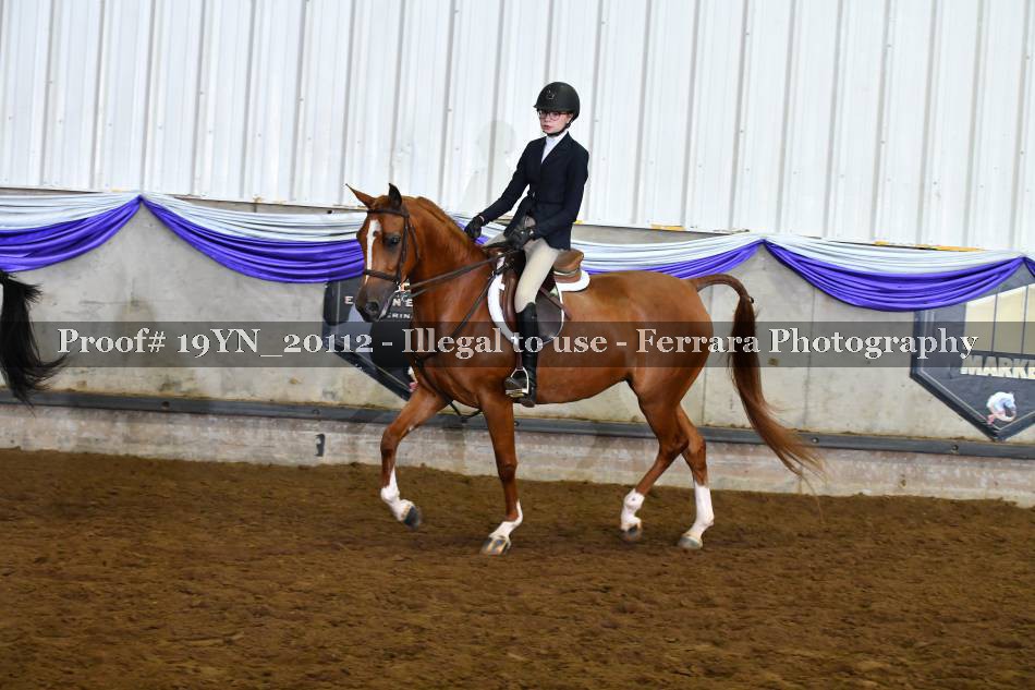 Proof 19YN_20112