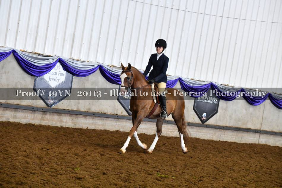Proof 19YN_20113