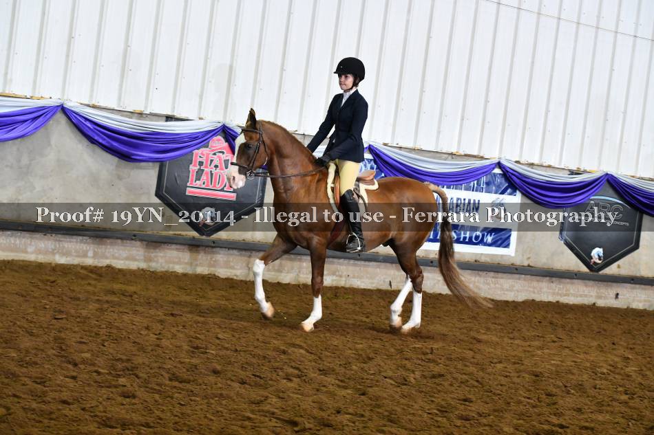 Proof 19YN_20114