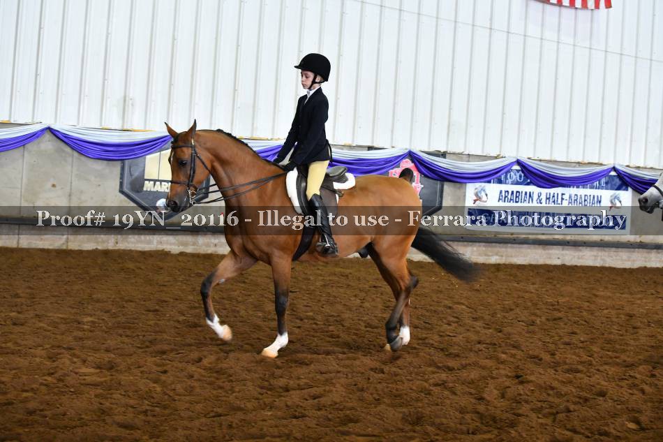 Proof 19YN_20116