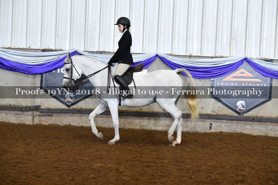 Proof 19YN_20118