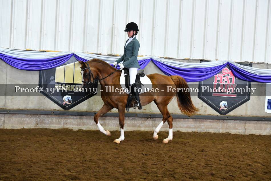 Proof 19YN_20119