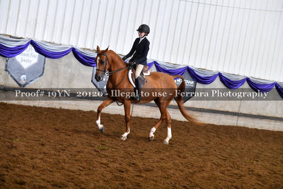 Proof 19YN_20120