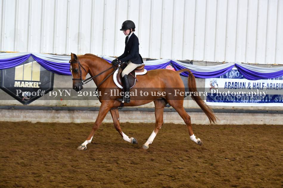 Proof 19YN_20121