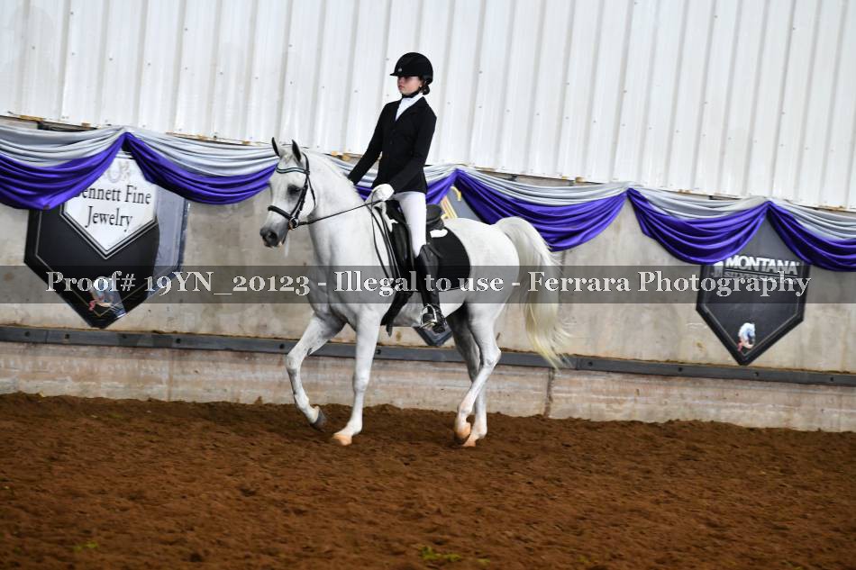 Proof 19YN_20123