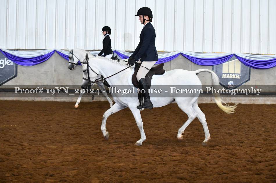 Proof 19YN_20124