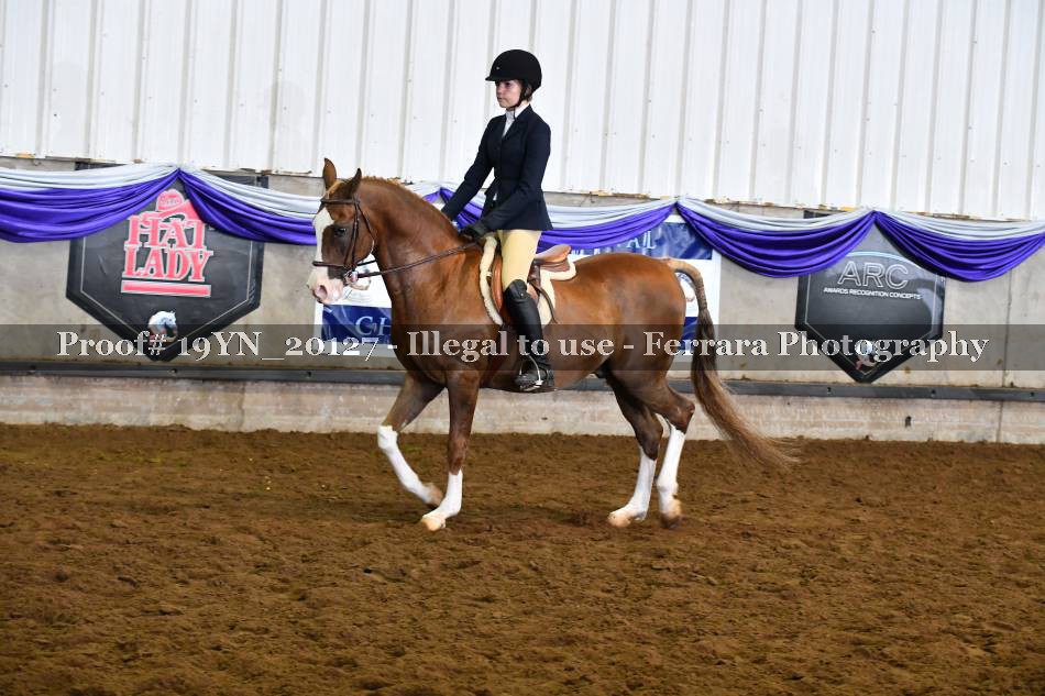 Proof 19YN_20127