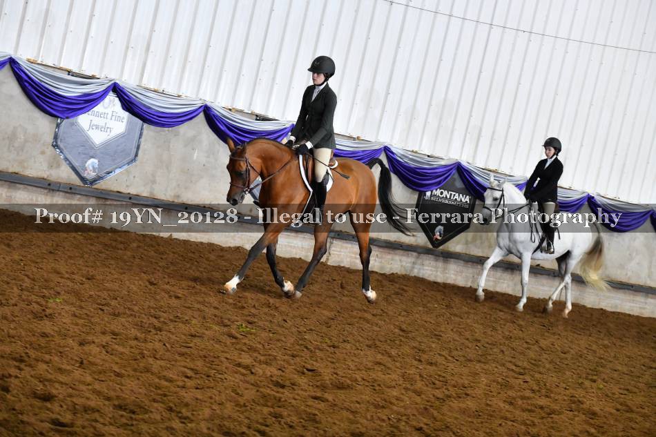 Proof 19YN_20128