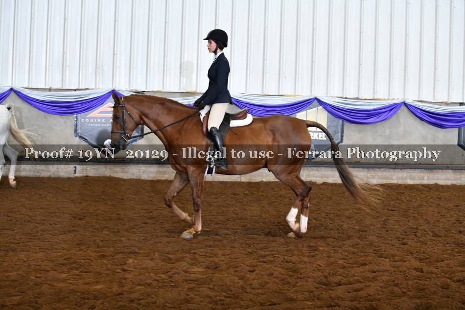 Proof 19YN_20129