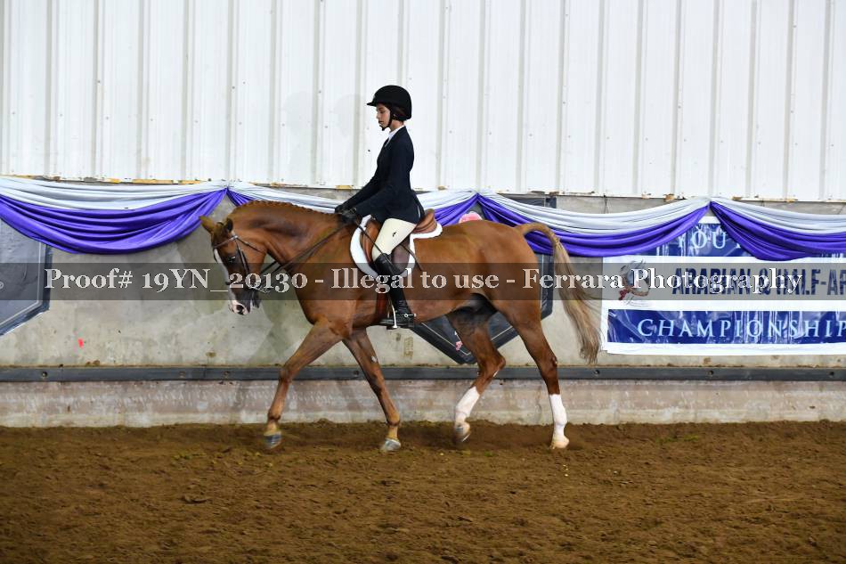 Proof 19YN_20130