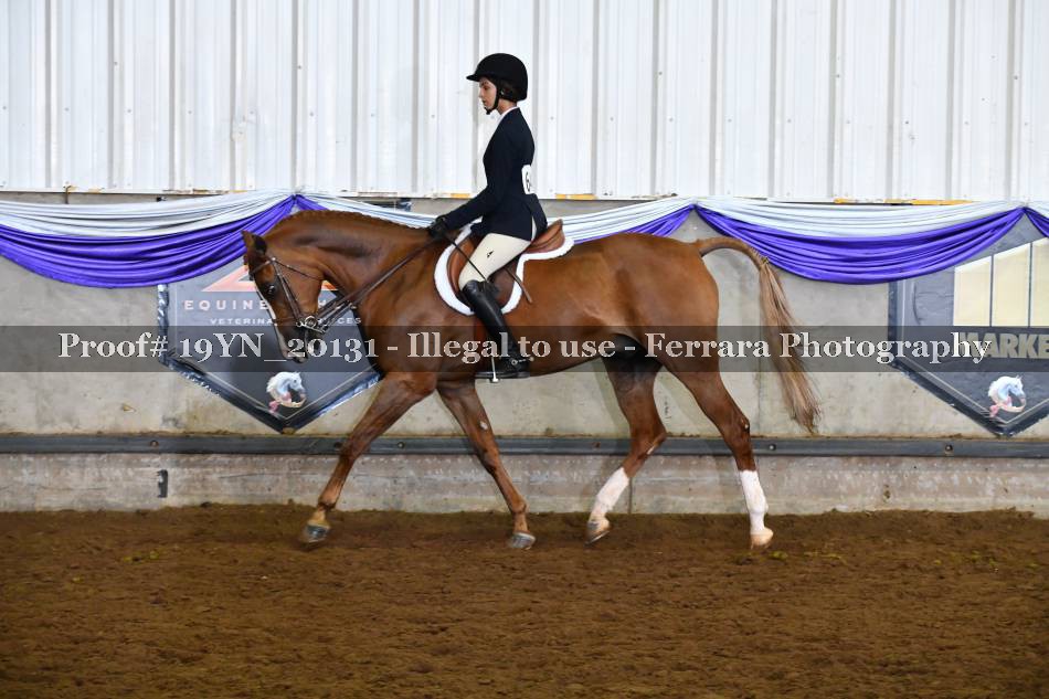 Proof 19YN_20131