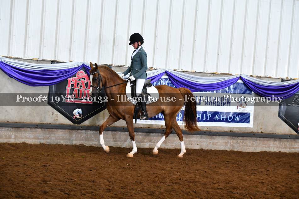 Proof 19YN_20132