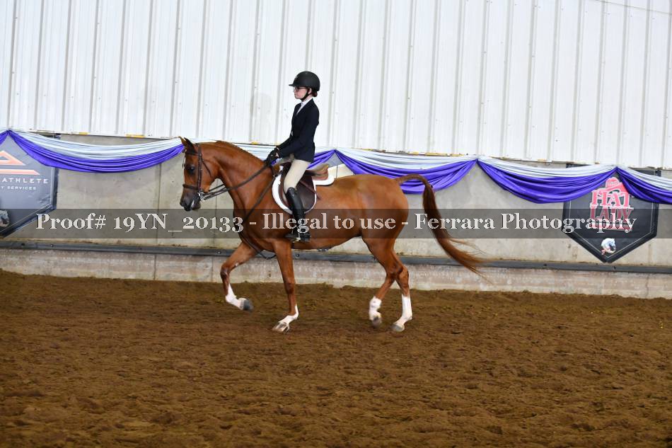 Proof 19YN_20133