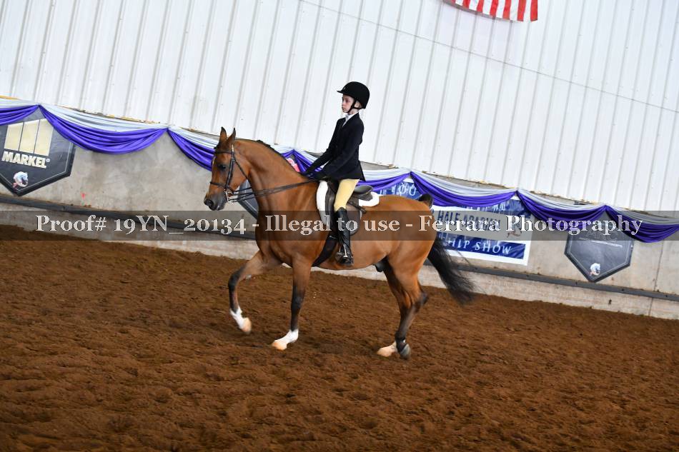 Proof 19YN_20134